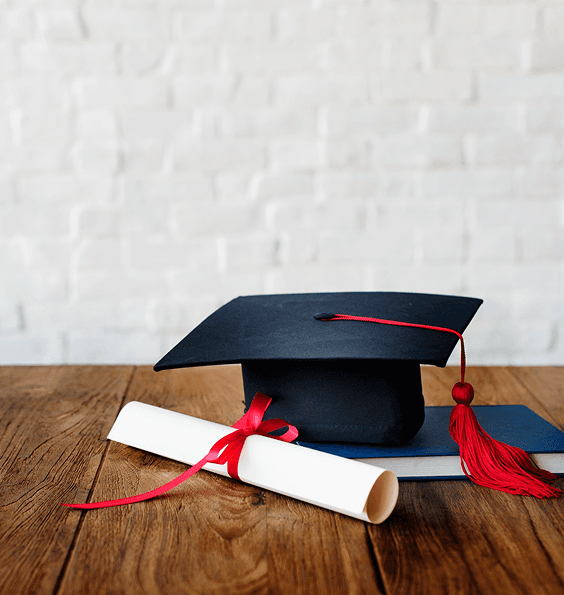 Elm Partners with Triviora to build a Graduate Readiness Program